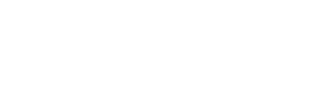 Instituto de Emprendimiento Avanzado